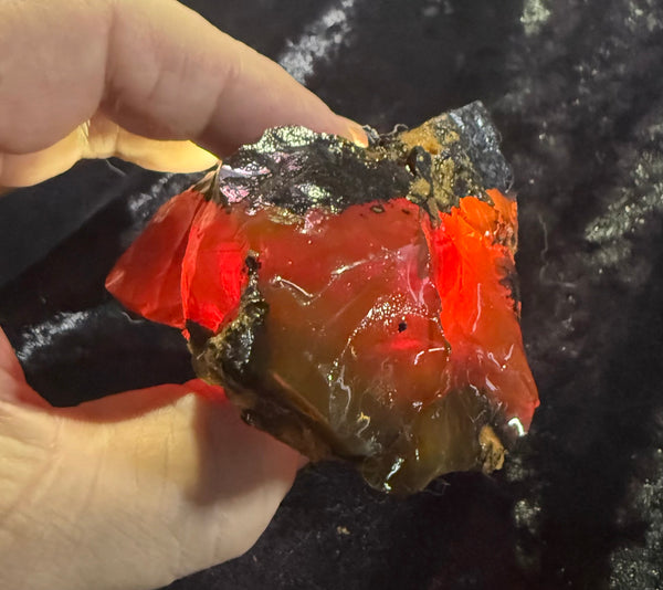156 Gram Oregon Chocolate Fire Opal Rough