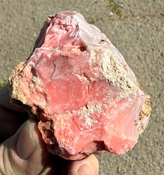 187 Gram Oregon Pink Opal Rough