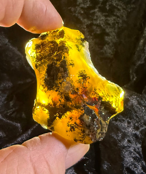65 Gram Oregon Fire Opal Rough