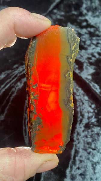 67 Gram Oregon Chocolate Fire Opal Slab