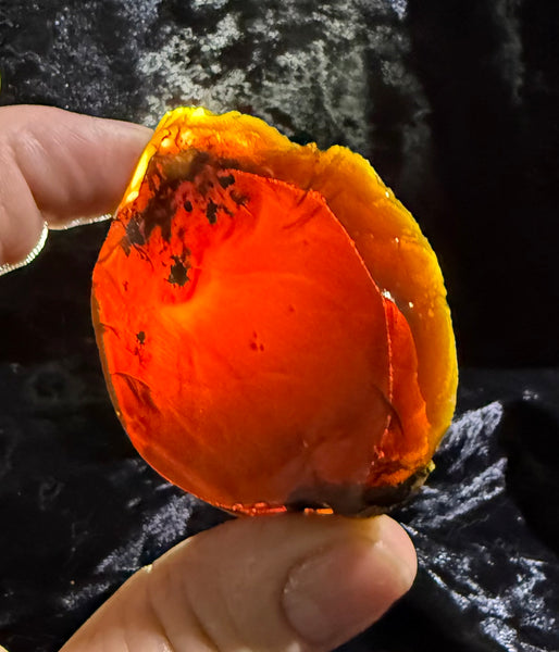 61 Gram Oregon Chocolate Fire Opal Slab