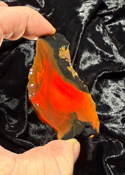 44 Gram Oregon Chocolate Fire Opal Slab