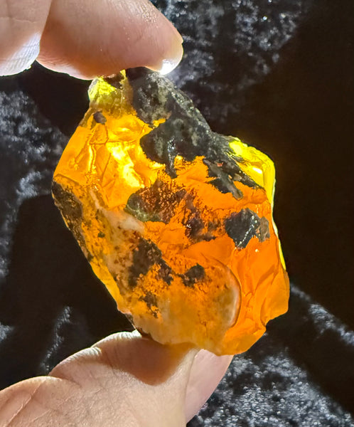 53 Gram Oregon Fire Opal Rough