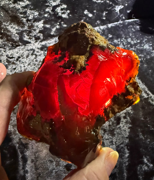 336 Gram Oregon Chocolate Fire Opal Rough