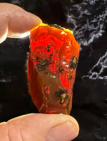 60 Gram Oregon Chocolate Fire Opal Rough