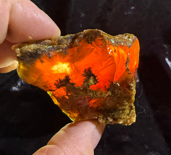 108 Gram Oregon Fire Opal Rough