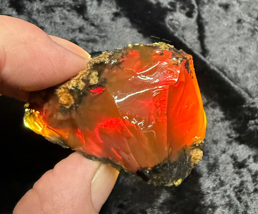 73 Gram Oregon Chocolate Fire Opal Rough
