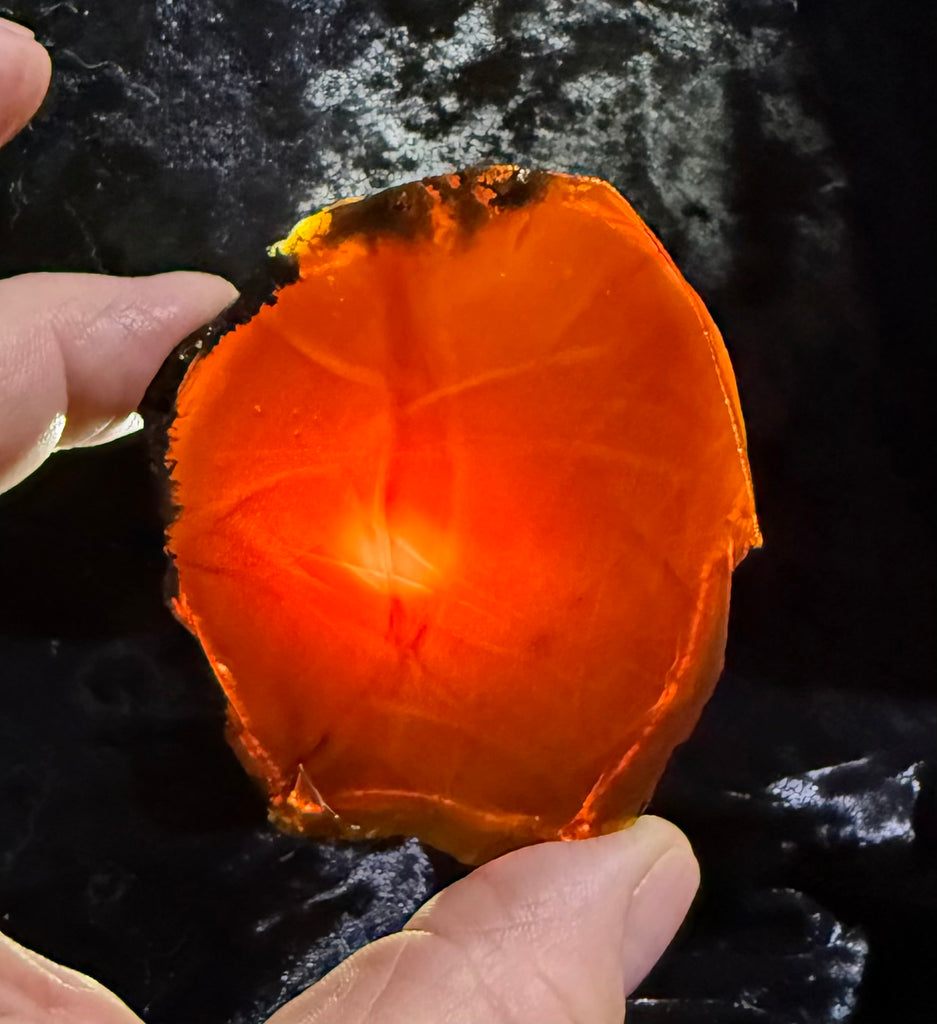 77 Gram Oregon Chocolate Fire Opal Slab
