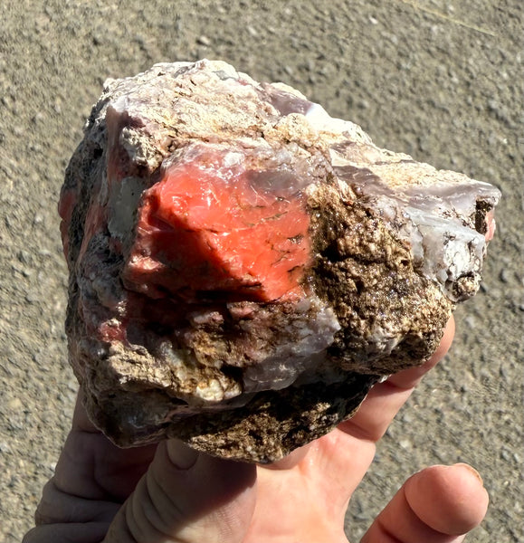 387 Gram Oregon Red Opal