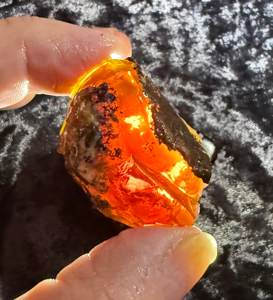 53 Gram Oregon Fire Opal Rough