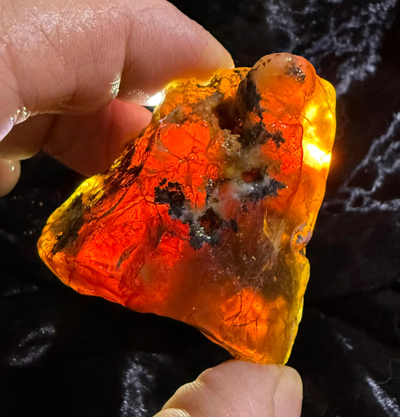 78 Gram Oregon Fire Opal Rough