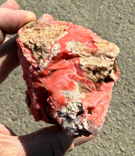 251 Gram Oregon Red Opal Rough
