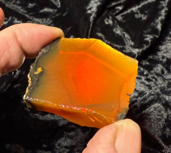 37 Gram Oregon Chocolate Fire Opal Slab