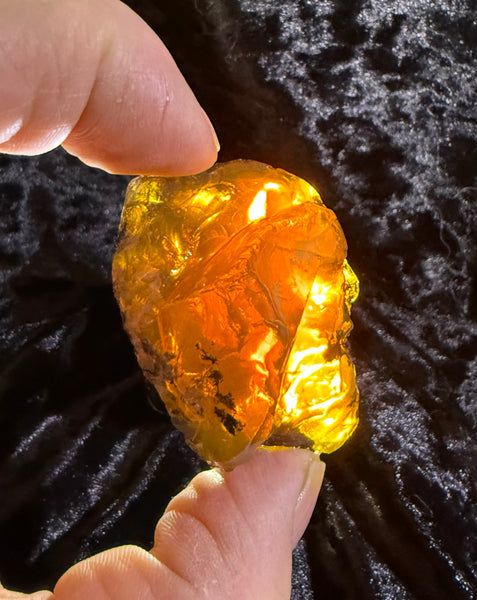 61 Gram Oregon Fire Opal Rough