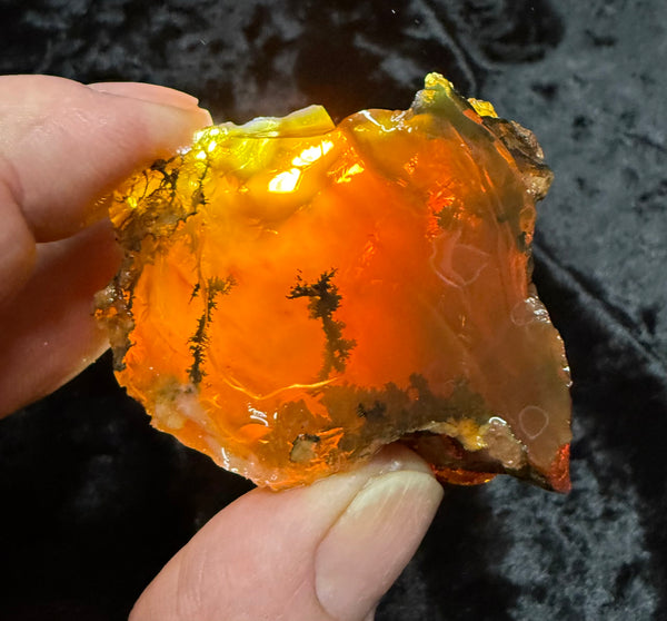 102 Gram Oregon Fire Opal Rough