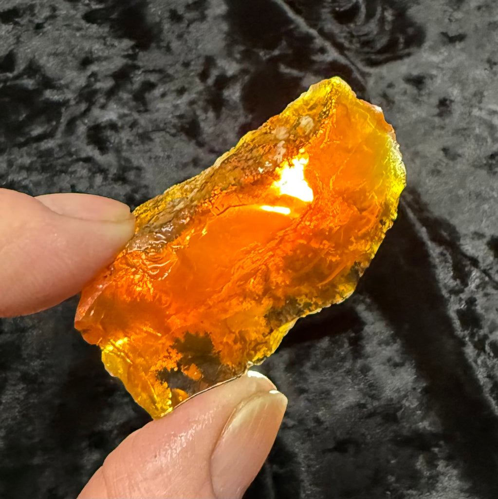 39 Gram Oregon Fire Opal Rough