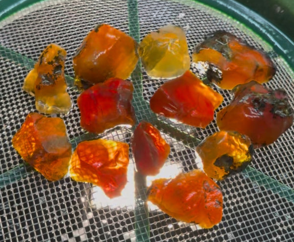 400 Grams of Oregon Fire Opal Rough