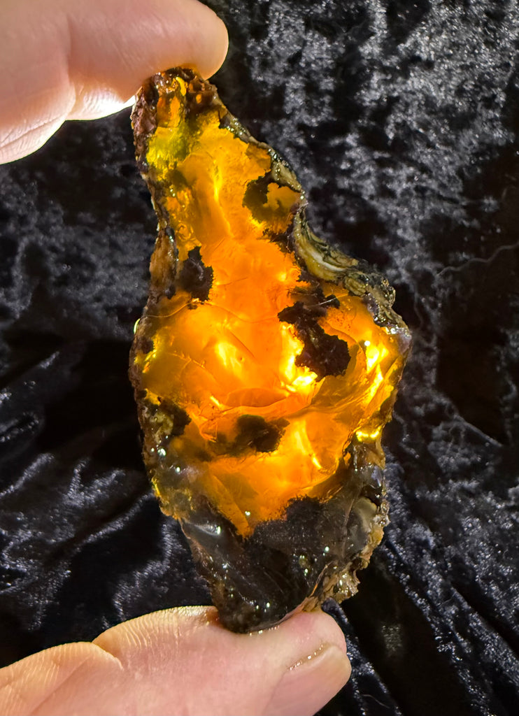 81 Gram Oregon Fire Opal Rough