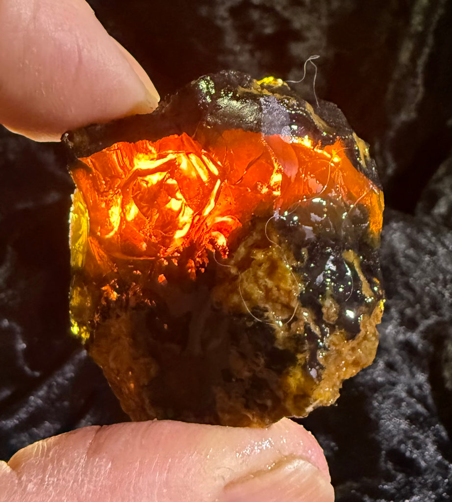 49 Gram Oregon Fire Opal Rough