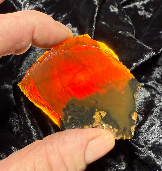 43 Gram Oregon Chocolate Fire Opal Slab