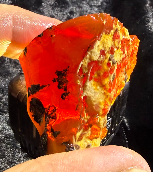 64 Gram Oregon Chocolate Fire Opal Rough
