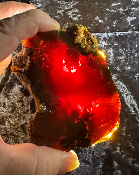 336 Gram Oregon Chocolate Fire Opal Rough