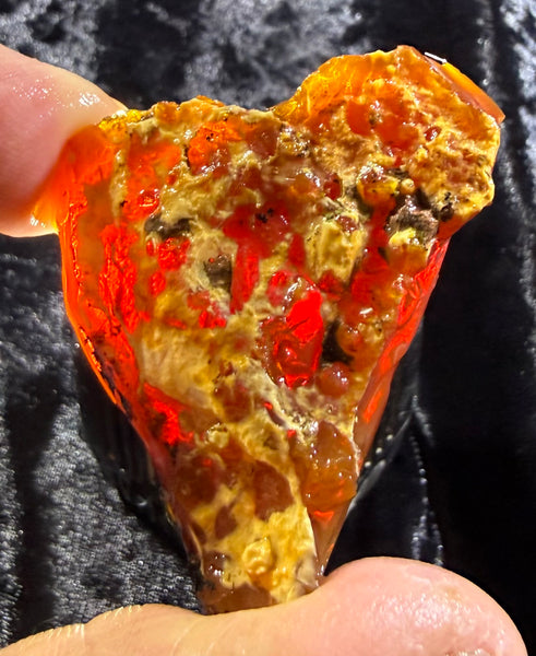 64 Gram Oregon Chocolate Fire Opal Rough