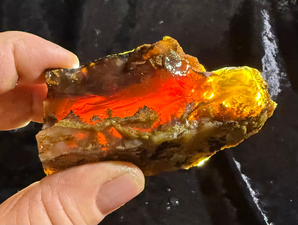 160 Gram Oregon Fire Opal Rough
