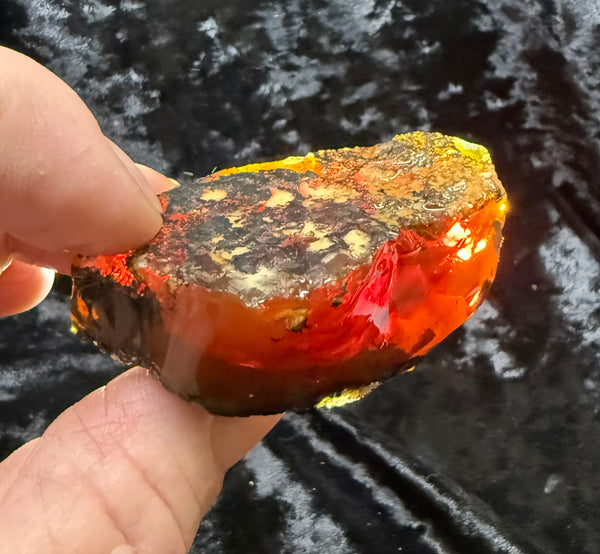 79 Gram Oregon Chocolate Fire Opal Rough