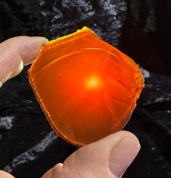 70 Gram Oregon Chocolate Fire Opal Slab