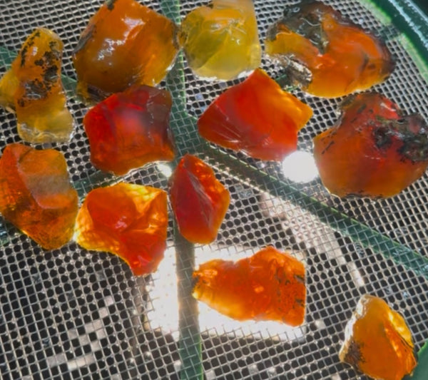 400 Grams of Oregon Fire Opal Rough