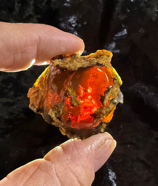 42 Gram Oregon Chocolate Fire Opal Rough