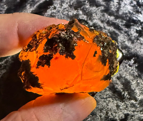 85 Gram Oregon Fire Opal Rough