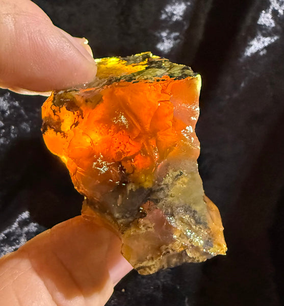 78 Gram Oregon Fire Opal Rough
