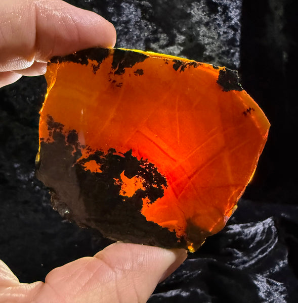 81 Gram Oregon Chocolate Fire Opal Slab