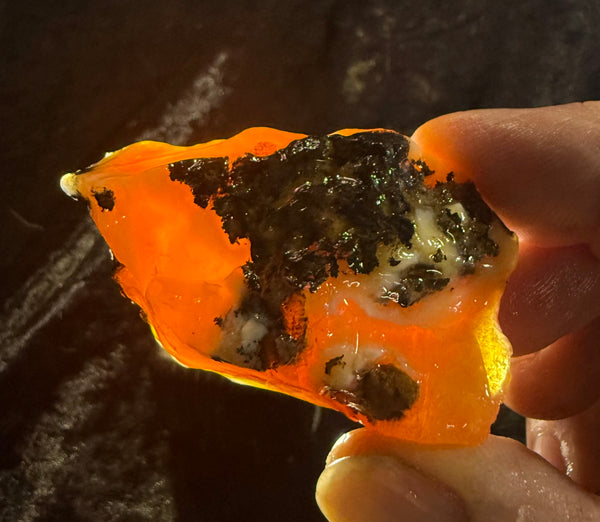 68 Gram Oregon Fire Opal Rough