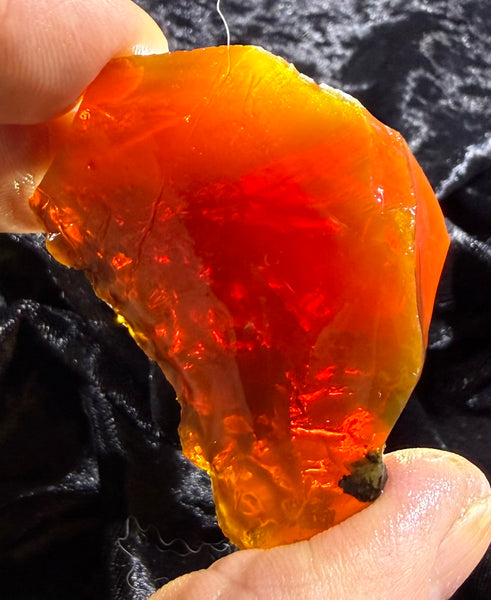 64 Gram Oregon Chocolate Fire Opal Rough