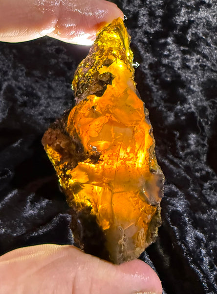 81 Gram Oregon Fire Opal Rough
