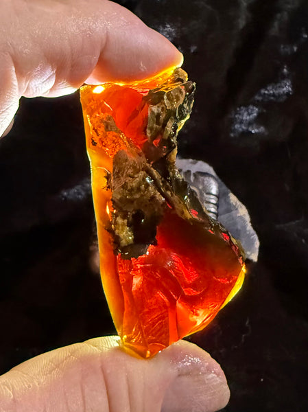 49 Gram Oregon Chocolate Fire Opal Rough