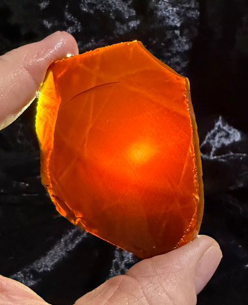 70 Gram Oregon Chocolate Fire Opal Slab