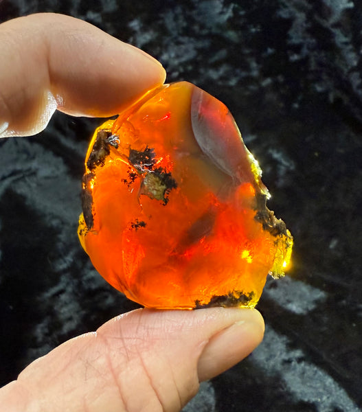 69 Gram Oregon Fire Opal Rough