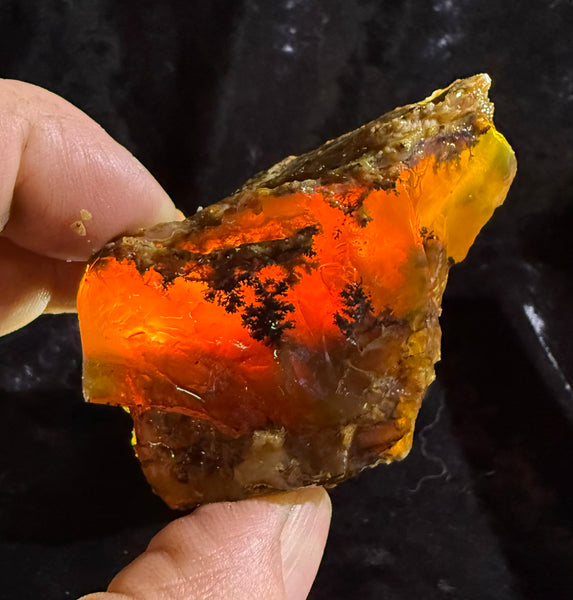 108 Gram Oregon Fire Opal Rough