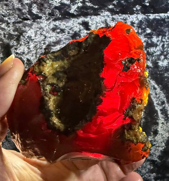 351 Gram Oregon Chocolate Fire Opal Rough