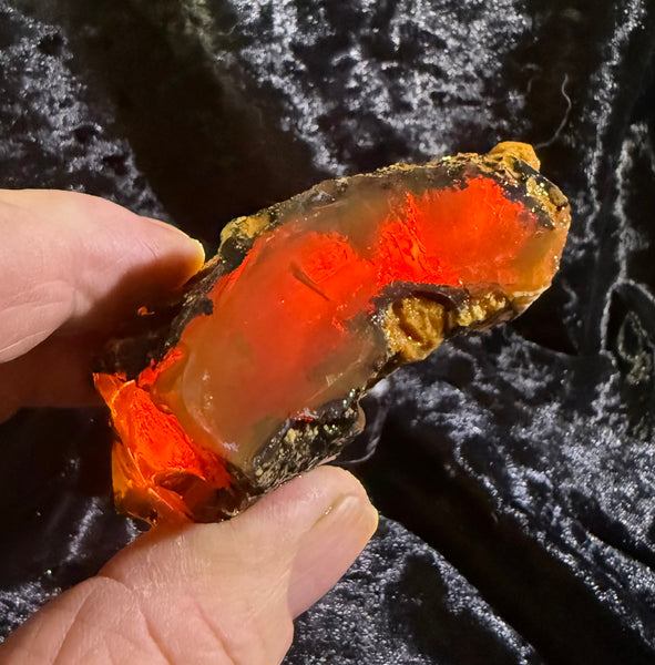 129 Gram Oregon Chocolate Fire Opal Rough