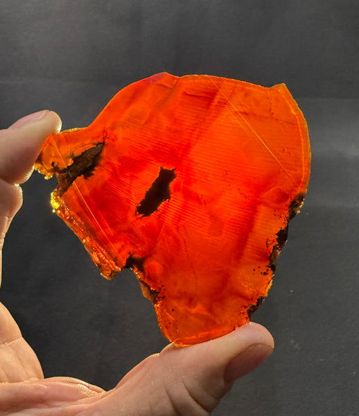 77 Gram Oregano Chocolate Fire Opal Slab