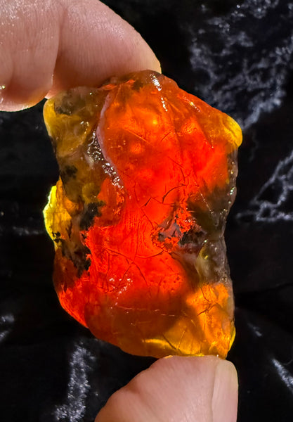 78 Gram Oregon Fire Opal Rough