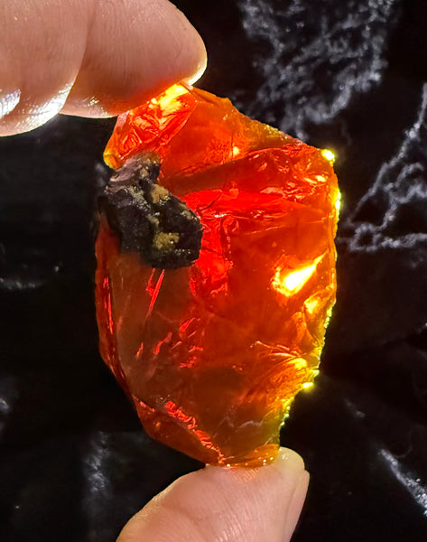 42 Gram Oregon Chocolate Fire Opal Rough