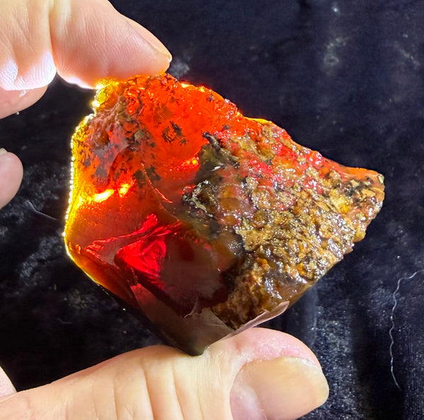 129 Gram Oregon Chocolate Fire Opal Rough