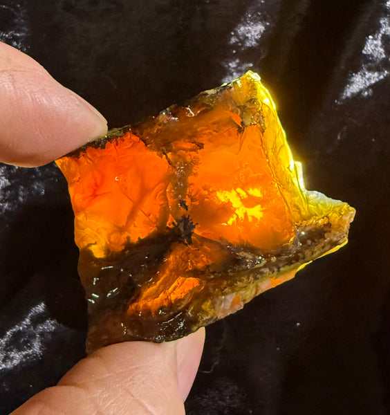 78 Gram Oregon Fire Opal Rough