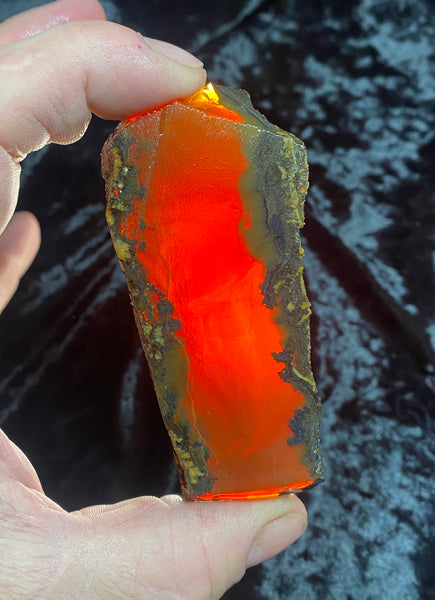 72 Gram Oregon Chocolate Fire Opal Slab